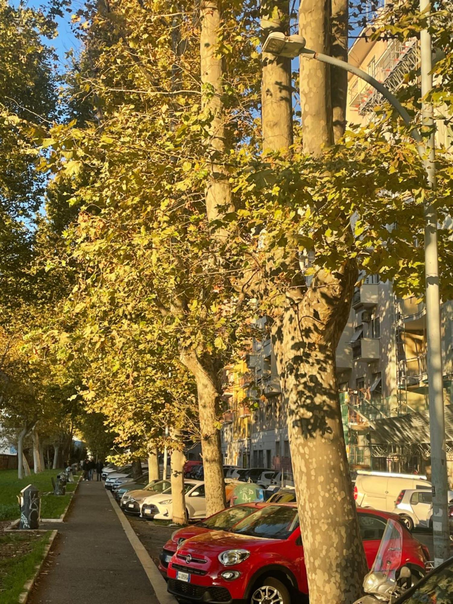 Appartamento Stepahouse Zona San Paolo Elegante Bilocale A 2 Minuti Dalla Metro B *